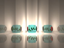 spermathecaimage