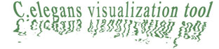 C.elegans visualization tool