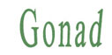 gonades