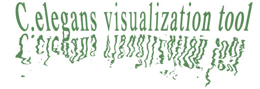 C.elegans visualization tool